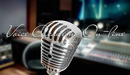 FlyVoice